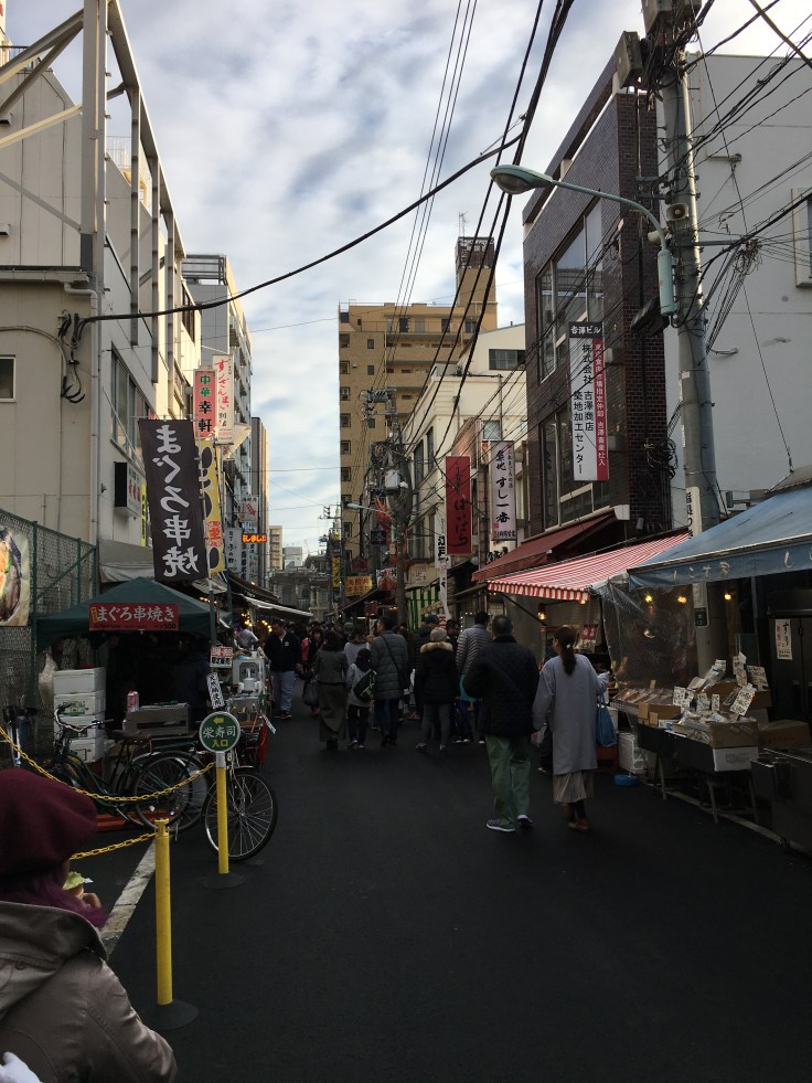 20180210_232525410_iOS