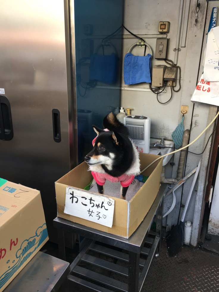 20180210_235415726_iOS