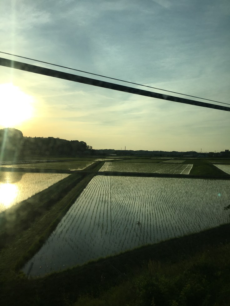 20180511_084519627_iOS