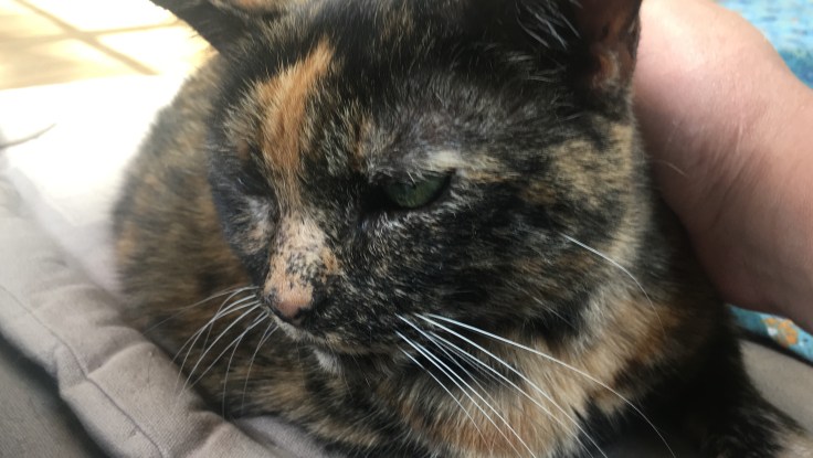 20180628_215130727_iOS