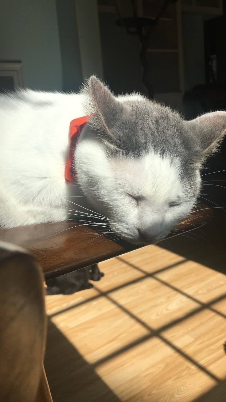 20180628_215340745_iOS