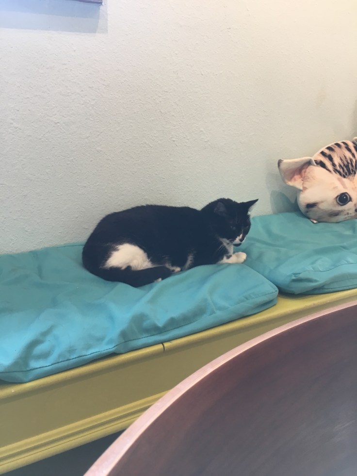 20180628_222345791_iOS