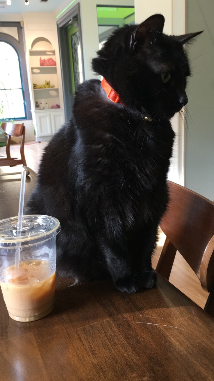 20180628_225137545_iOS