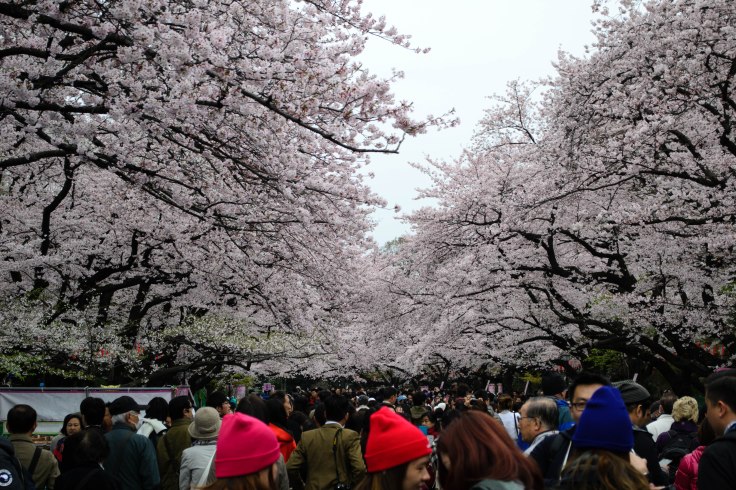 Ueno Hanami 2016
