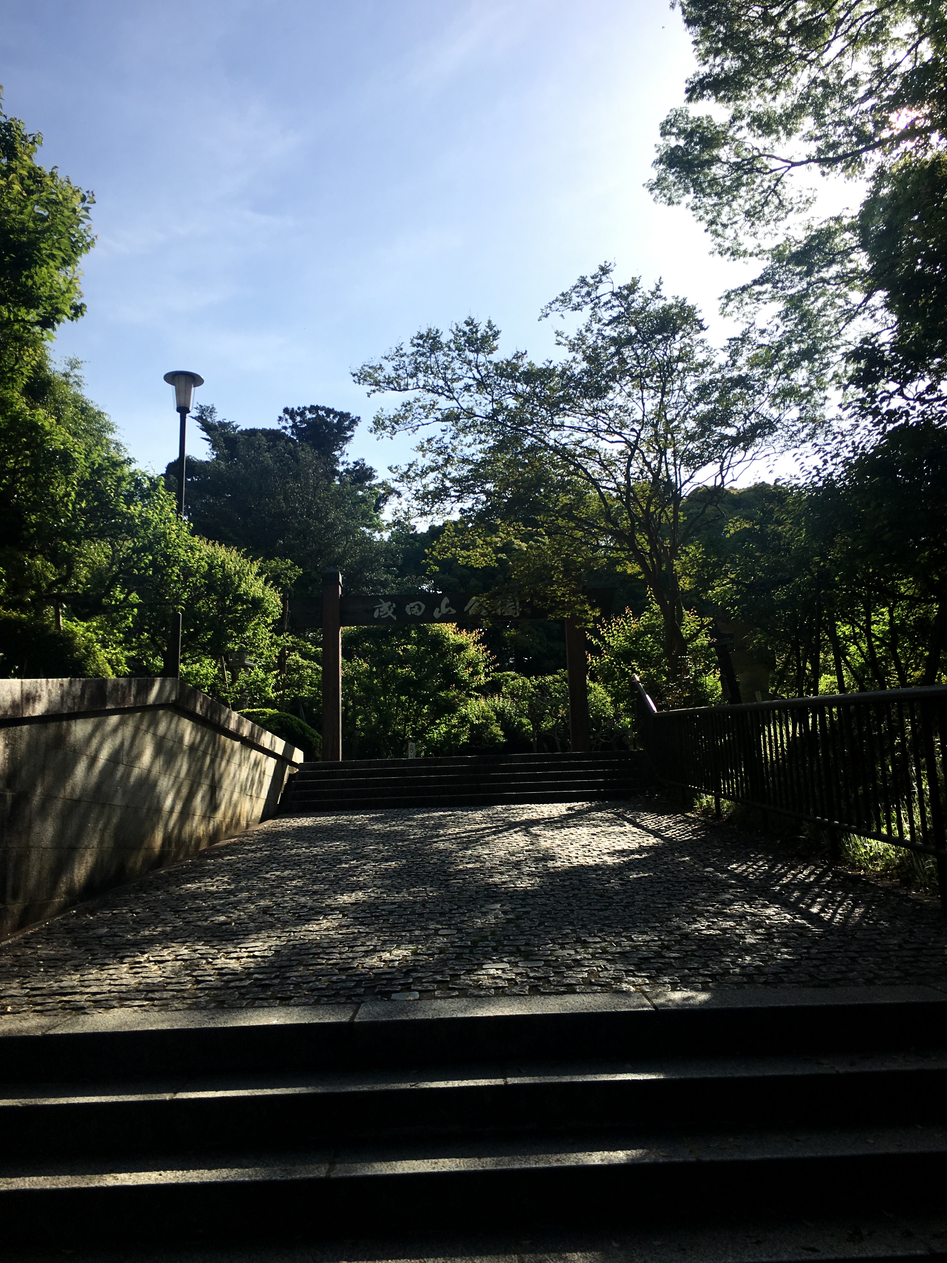 20190517_222525579_iOS