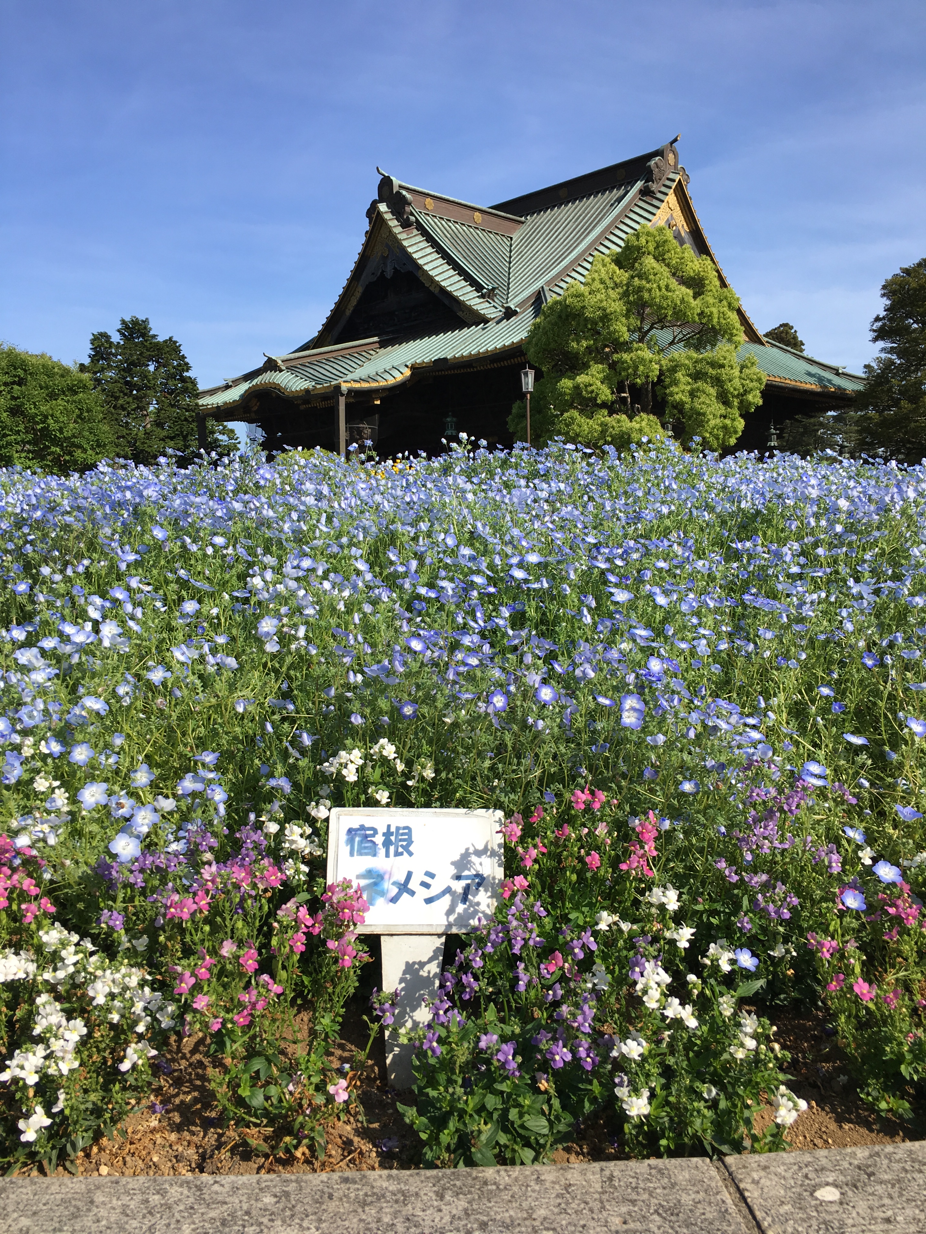 20190517_223421464_iOS